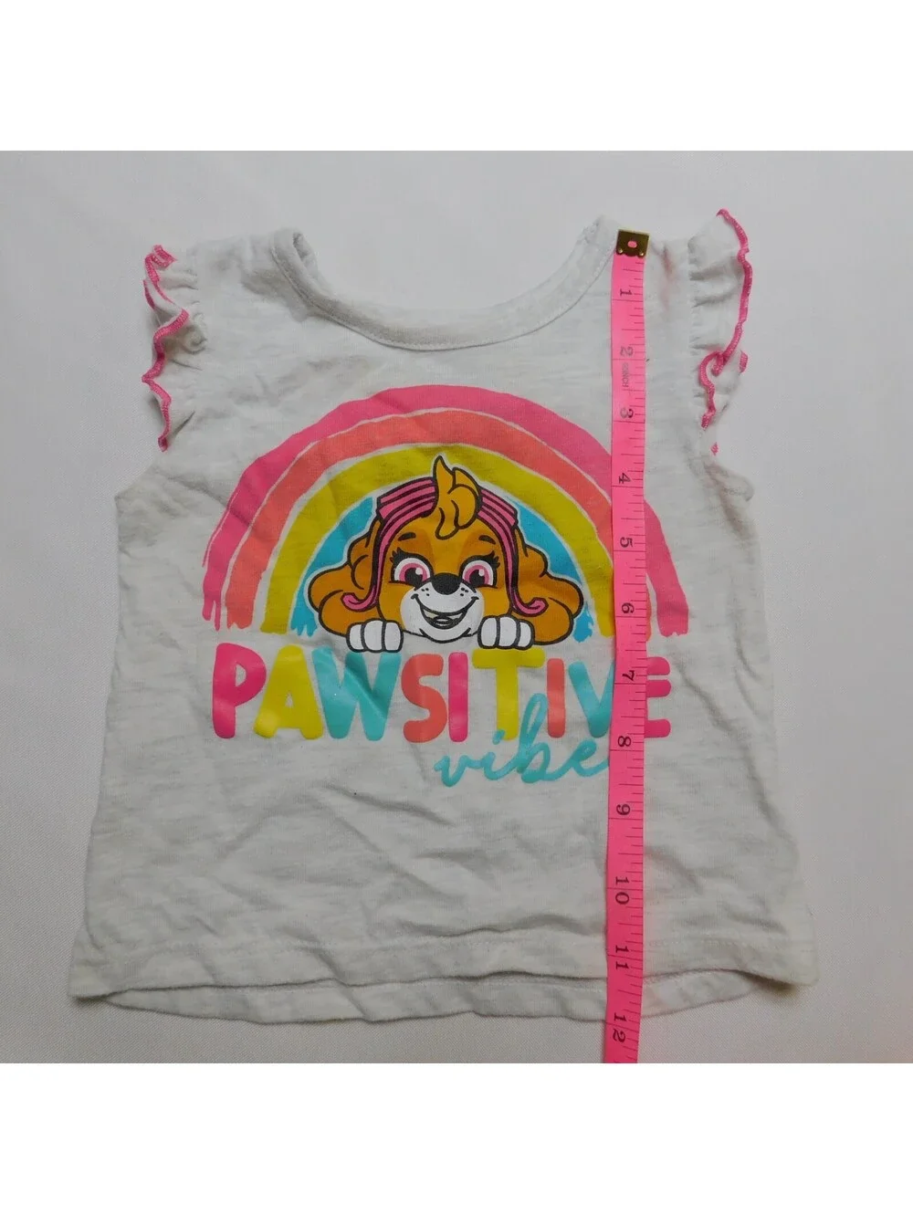 Paw Patrol Skye Girls T Shirt Size 18M Gray Rainbow Pawsitive Vibes Flutter Slee